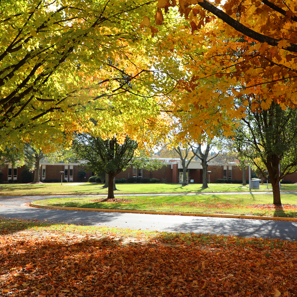 Warsaw Campus Fall